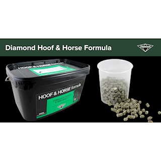 diamond-hoof-horse-formula-388.png