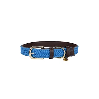 kentucky-dog-halsband-nylon-light-blue-m-50cm-10477.jpg