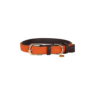 kentucky-dog-halsband-nylon-orange-m-l-58-cm-10472.jpg
