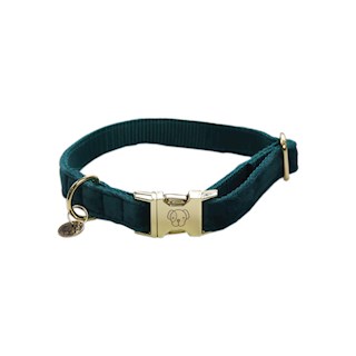 kentucky-dog-halsband-velvet-emerald-xs-11003.jpg