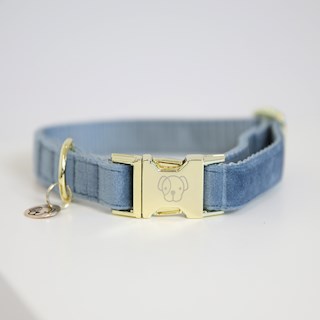 kentucky-dog-halsband-velvet-lichtblauw-xs-9260.jpg