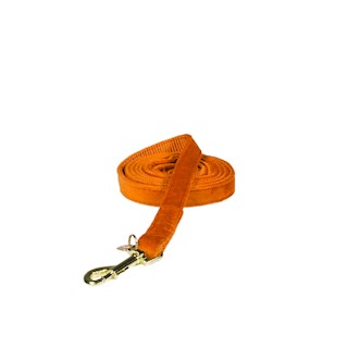 kentucky-dog-leiband-velvet-oranje-120-cm-s-12136.jpg