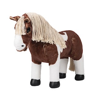 le-mieux-pony-bont-flash-10550.jpg