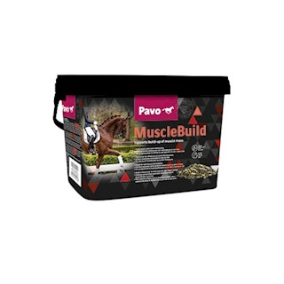 pavo-musclebuild-3-kg-7395.jpg
