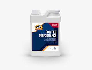 pow-red-performance-11285.png