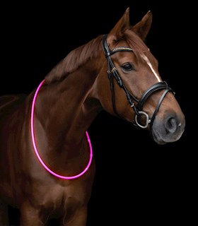 wh-led-halsriem-voor-paarden-150cm-roze-10160.jpg