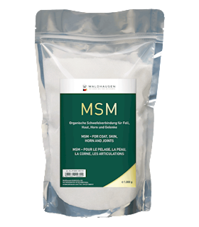wh-supplement-msm-1kg-11671.png
