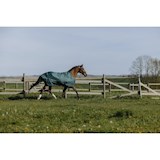 EQUI-THEME-OUTDOOR-150GR-GROEN-6-0