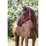 NORTON-HALSTER-FLUO-DOUBLE-PINK-FULL